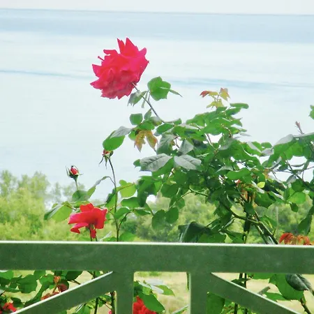 Suarella Appartement