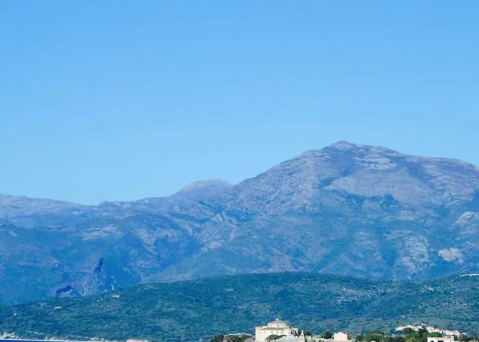 Suarella