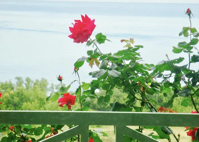 Suarella Appartement